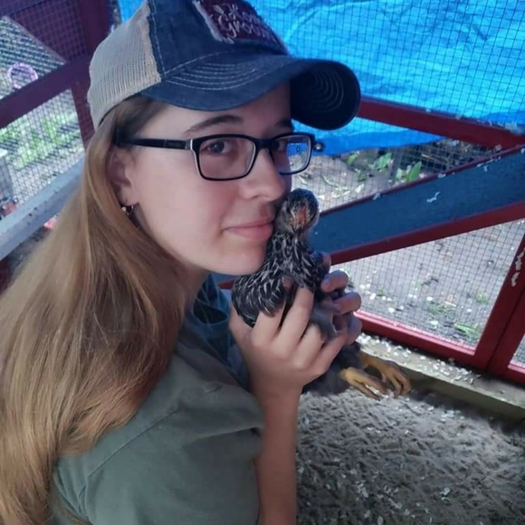 Meet your Posher, Gracie - Picture 2 of 4